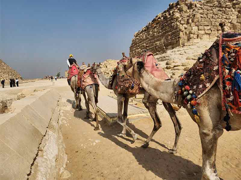 Unforgettable 7 Days Tour In Cairo, Alexandria & Luxor