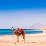 Hurghada