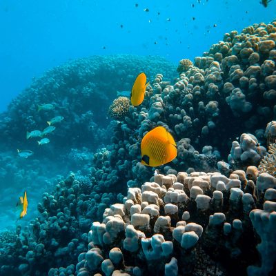 Dahab
