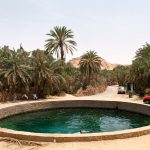 A natural spring-fed pool known as Cleopatra's Bath in Siwa Oasis, surrounded by lush palm trees and local buildings