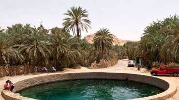 A natural spring-fed pool known as Cleopatra's Bath in Siwa Oasis, surrounded by lush palm trees and local buildings