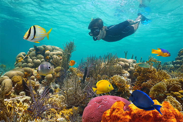 PARADISE ISLAND WONDERFUL FULL-DAY SNORKELING FROM HURGHADA