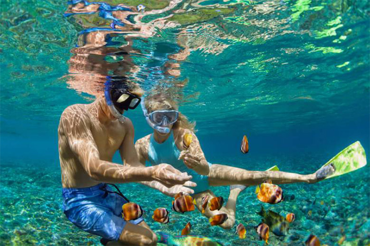 PARADISE ISLAND WONDERFUL FULL-DAY SNORKELING FROM HURGHADA