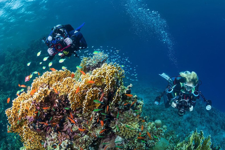 A wide shot of a snorkeling tour in Hurghada