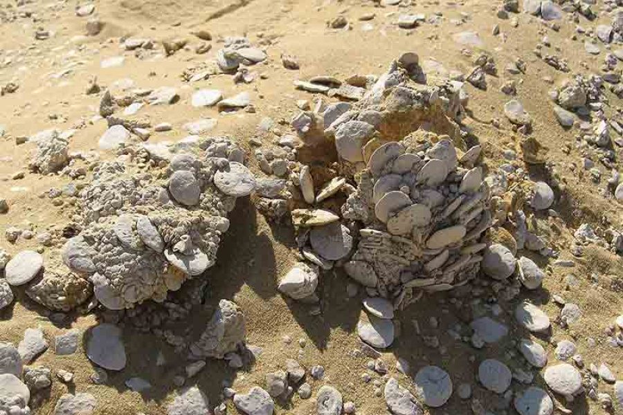 7 jours au Caire, El-Fayoum et Alexandrie