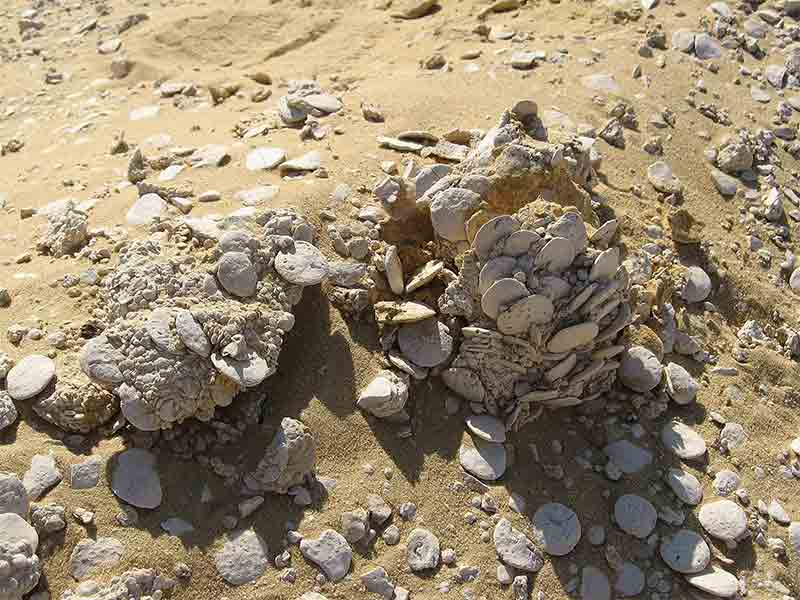 7 jours au Caire, El-Fayoum et Alexandrie