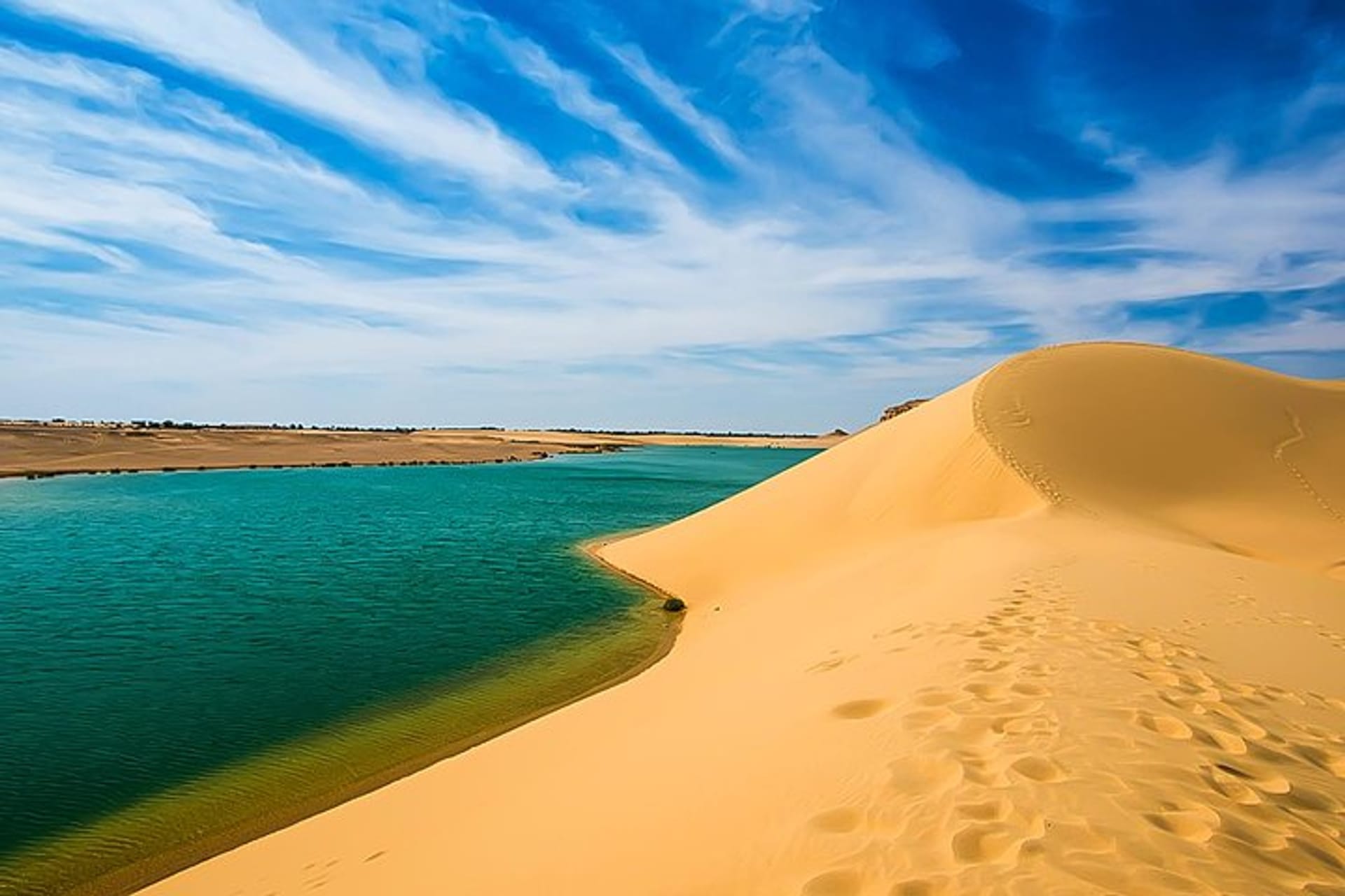 Overnight Camping Trip to El-Fayoum Oasis from Cairo, 2 days.